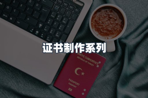 仿制证件24小时